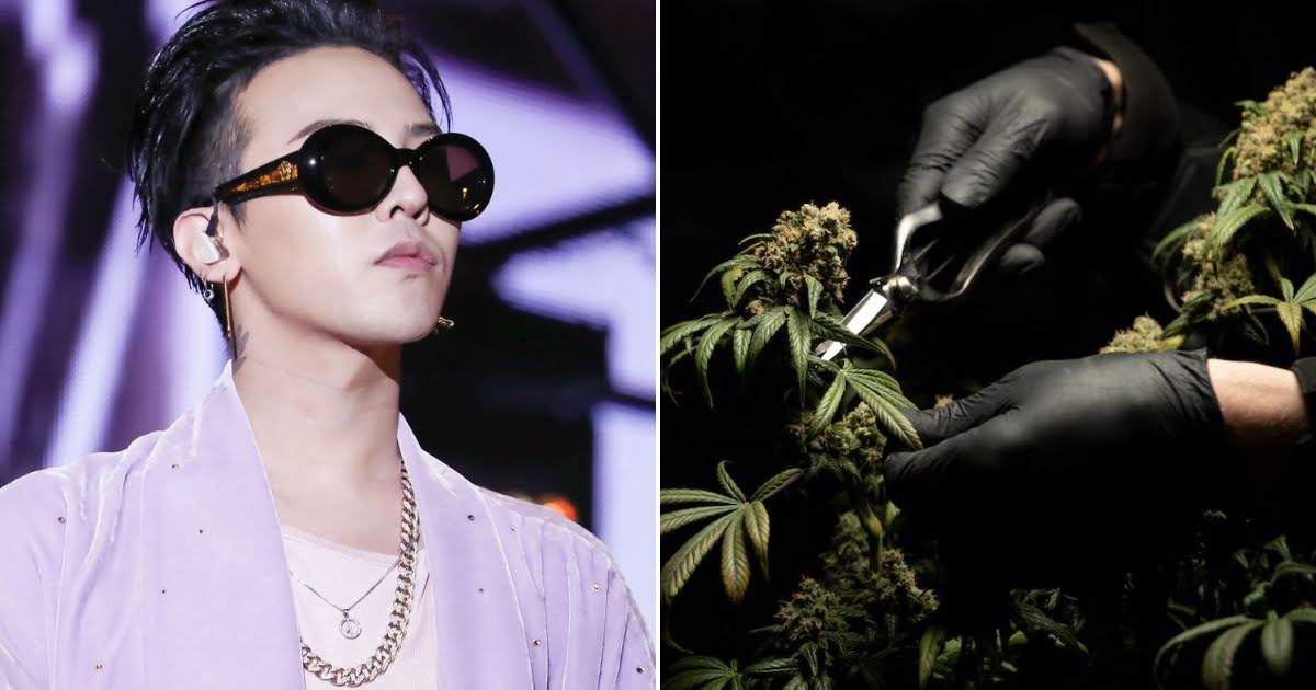 Netizens React To G-Dragon’s Drug Allegations