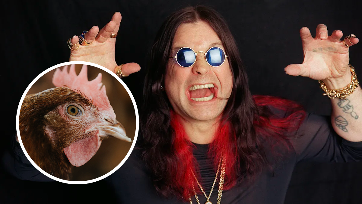 “A cop knocked at the door and said, ‘You’ve got to stop!’” Ozzy Osbourne once put a chicken full of antifreeze on his neighbour’s fence and the police thought it was a satanic effigy