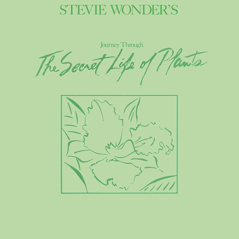 ‘Stevie Wonder’s Journey Through The Secret Life Of Plants’