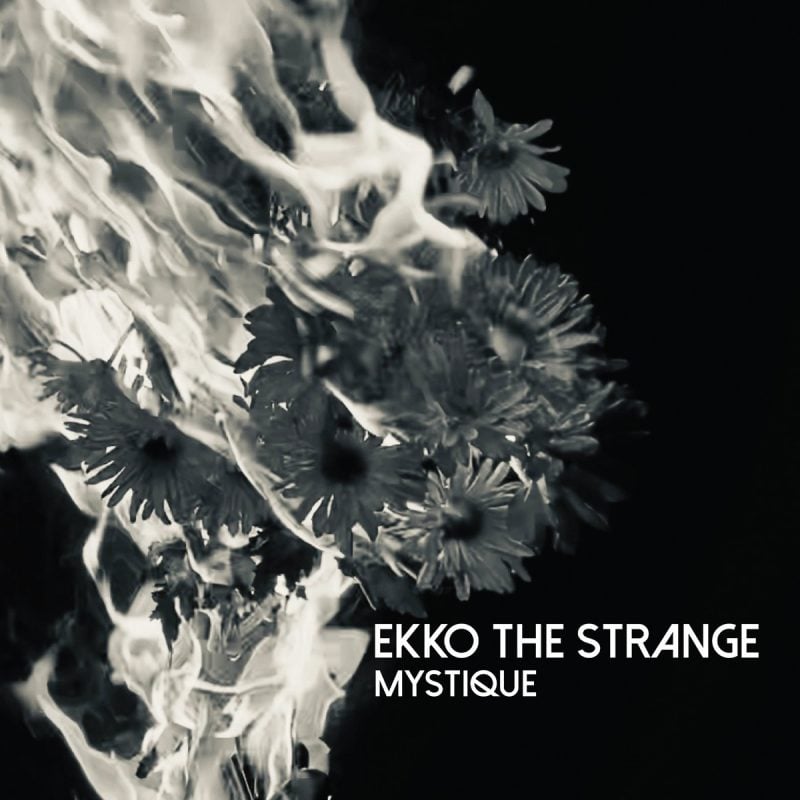 Darkwave Project Ekko the Strange Debuts Fiery Video for “Vamps”