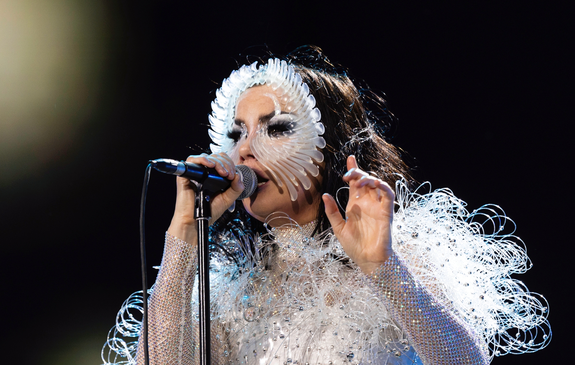 Björk reveals the backstory of new single ‘Oral’ with Rosalía