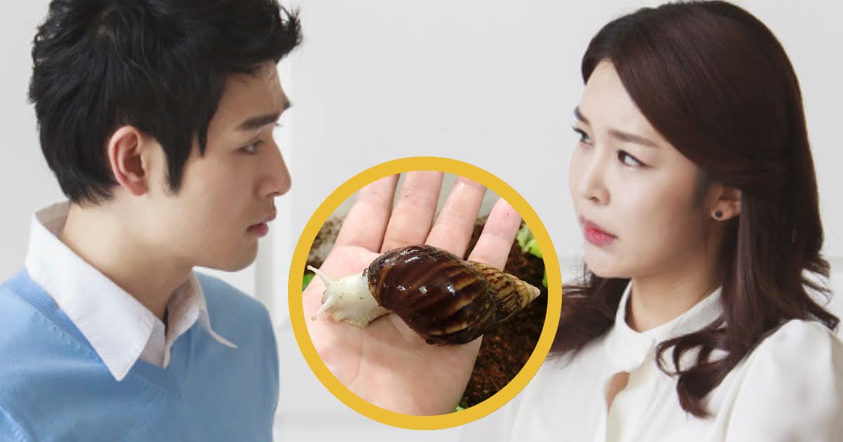 Korean Woman Asks If She Should Dump Her Fiancé Over What Happened To His Pet Snail