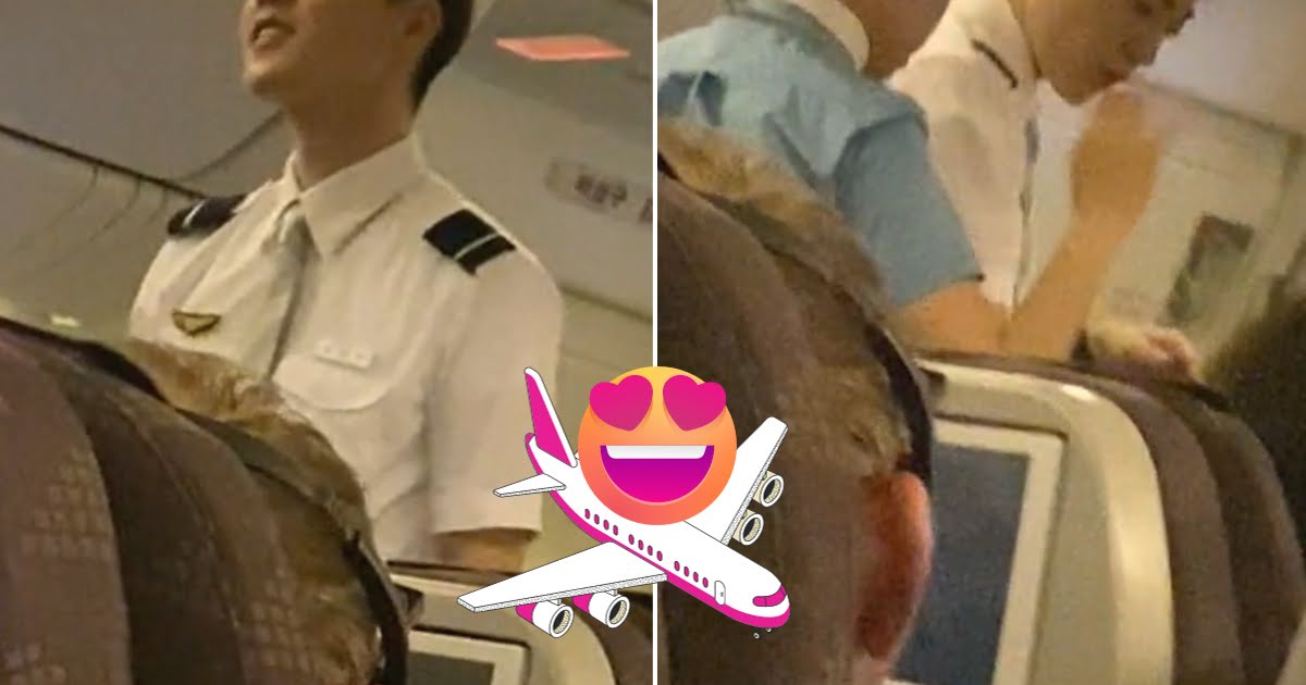 A Korean Air Flight Attendant Is Going Viral For His Celebrity-Like Visuals