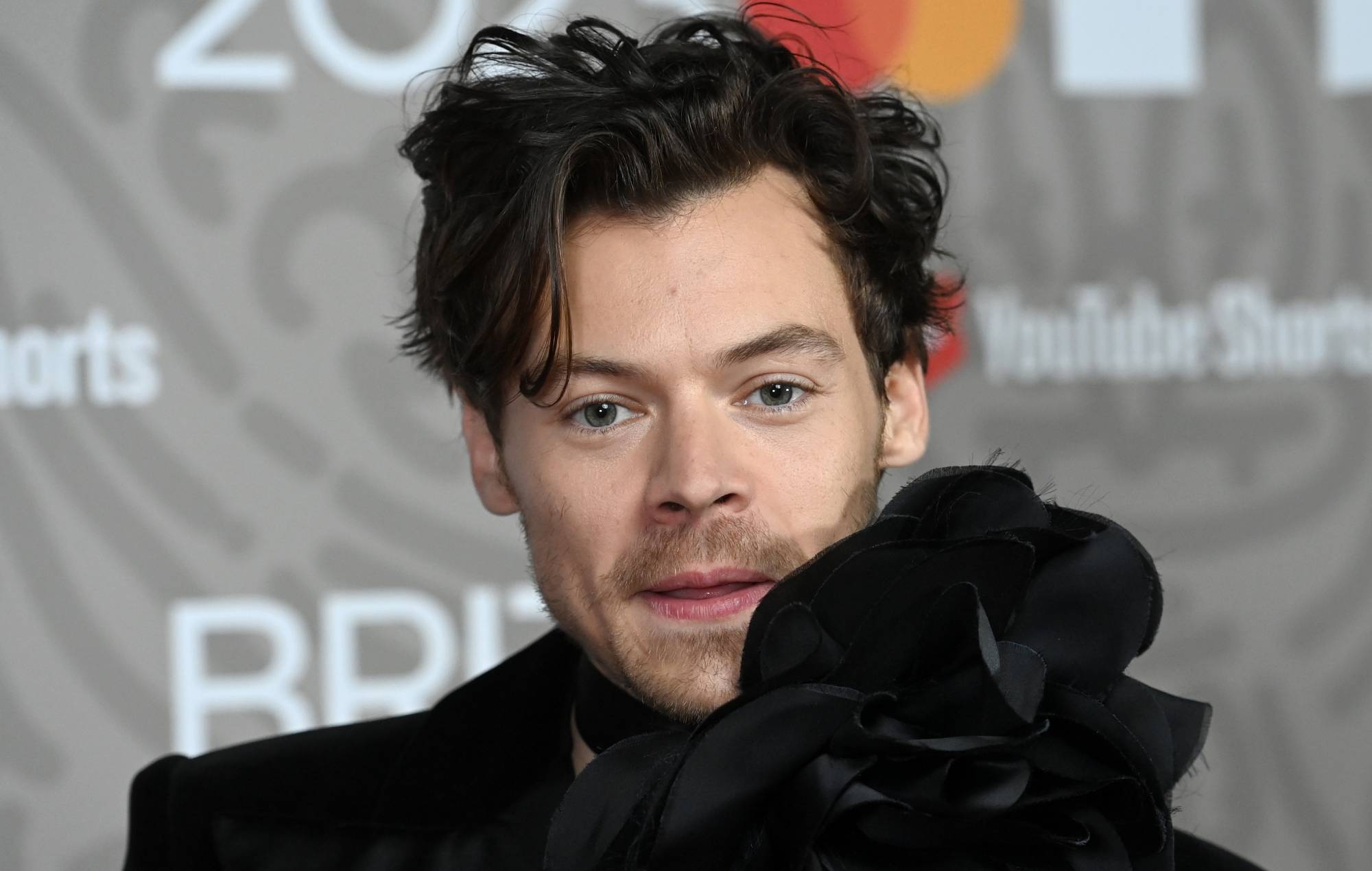 Harry Styles shares new shaved-head buzzcut in new photo