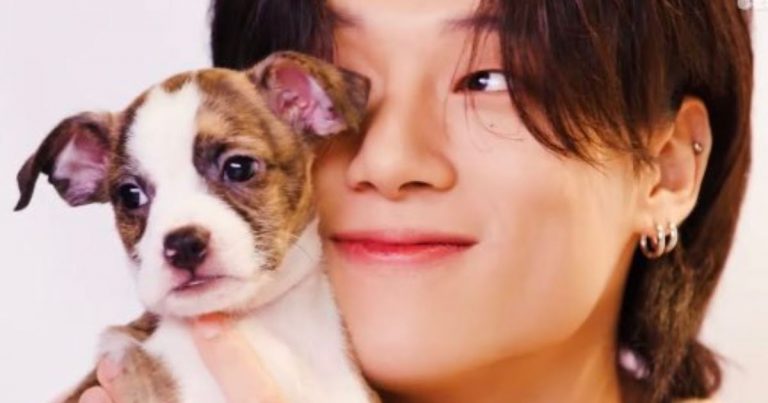 ATEEZ’s Wooyoung With Puppies Is A Match Made In Heaven