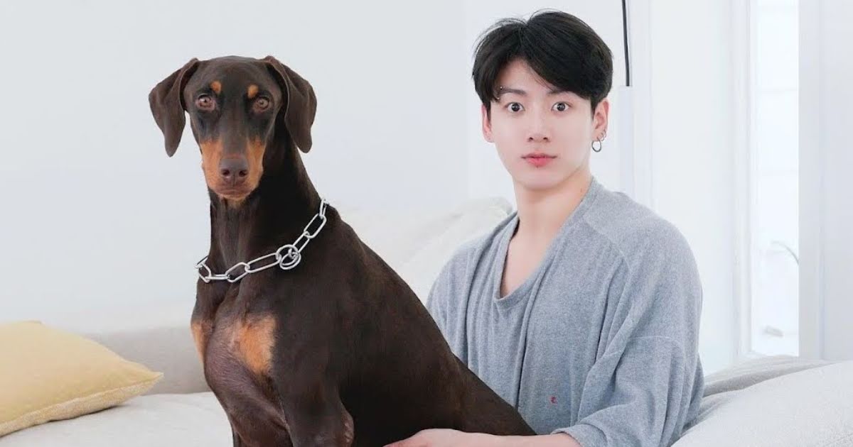 What Is Jungkook’s Dog Bam Up To While He’s In The Military?