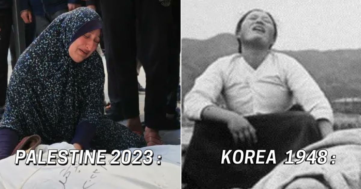 Korean Influencers Expose The Disturbing Parallels Between Palestine And Korea