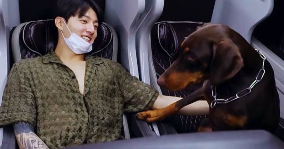 Why BTS’s Jungkook Deserves All The Praise In The World For His Treatment Of His Dog