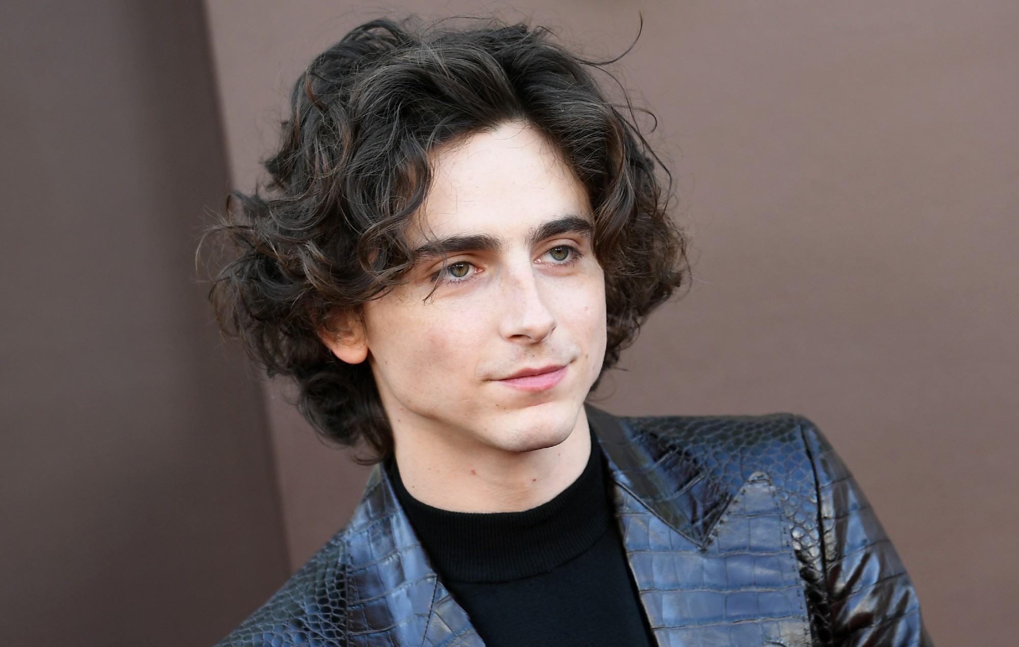 Timothée Chalamet doesn’t know what his axed ‘Barbie’ cameo would’ve been