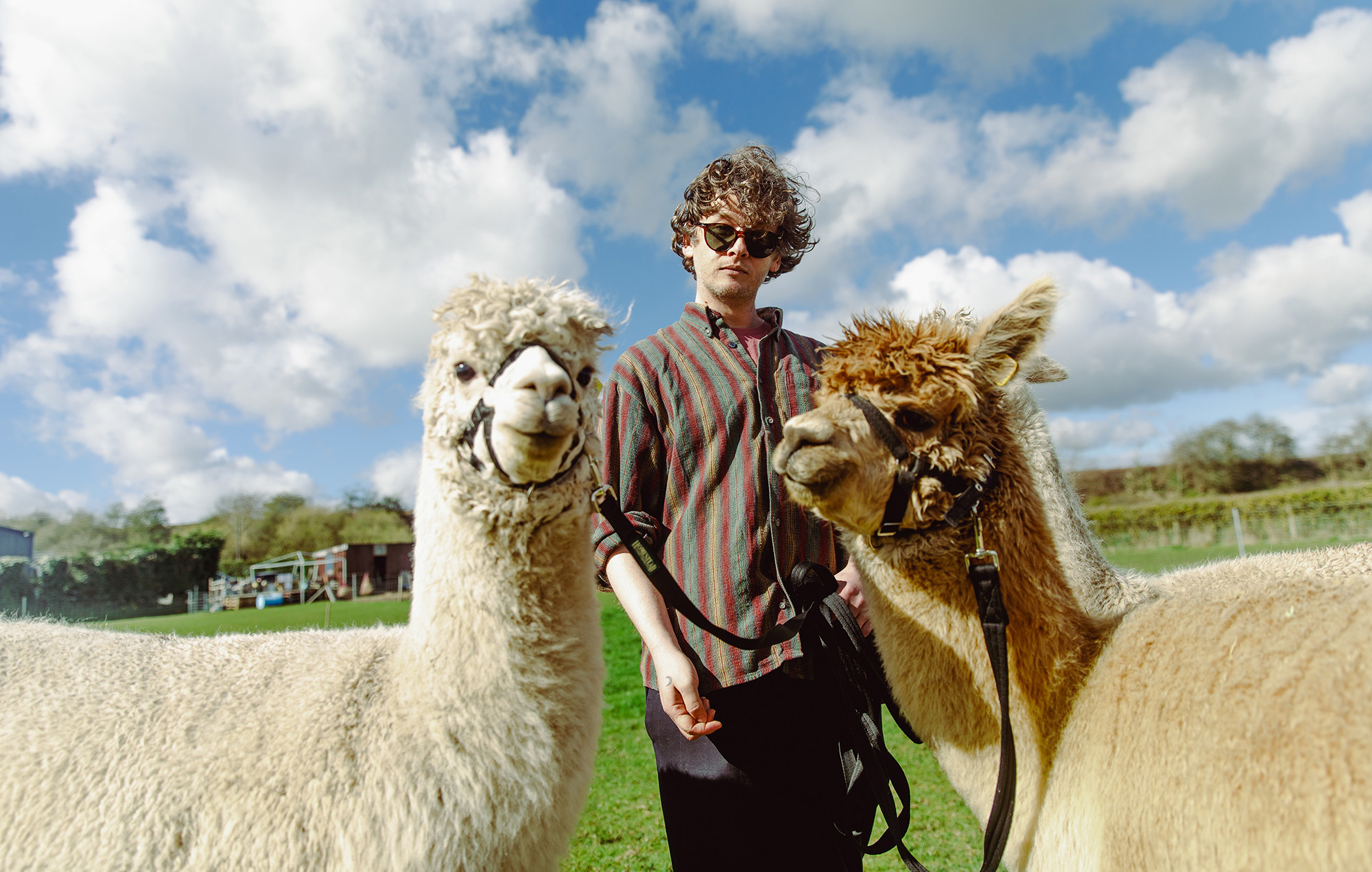 Bill Ryder-Jones – ‘Iechyd Da’ review: wistful cult hero goes for broke