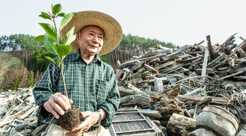 The Master of Urban Forests: Akira Miyawaki