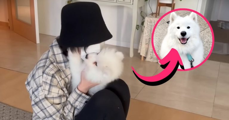 Korean YouTuber Clones Her Deceased Dog, Raising Concerns