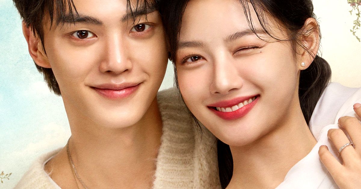 5 K-Dramas Canceled By Netflix After Only One Season