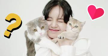 The Unseen Ways BLACKPINK Lisa’s Beloved Cats And Dog Affect Her Daily Life