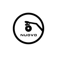 Nuovo Entertainment Leading Artists To Success In The Music Industry