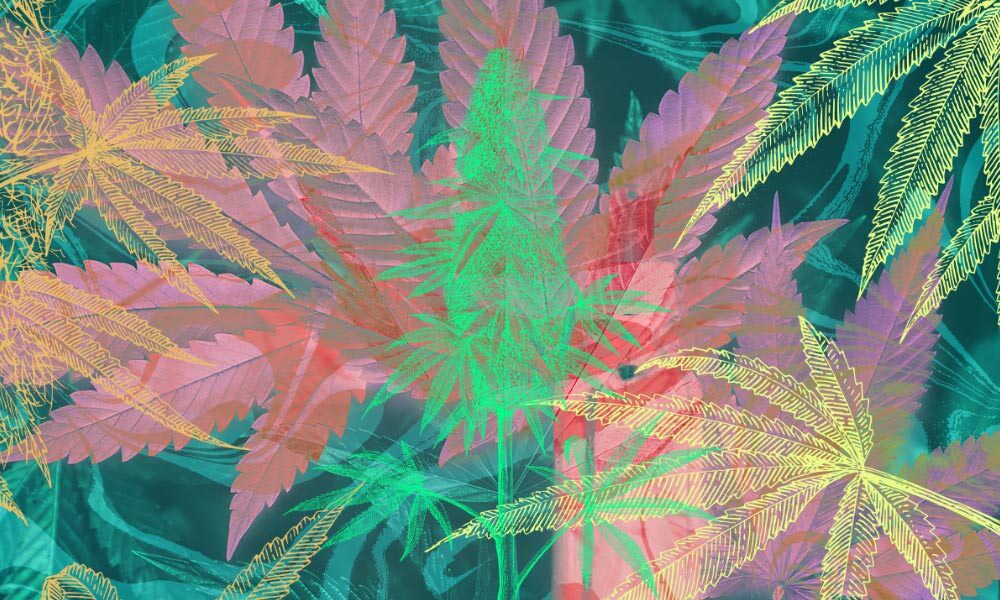 Best Songs About Weed: 45 Marijuana-Themed Tracks