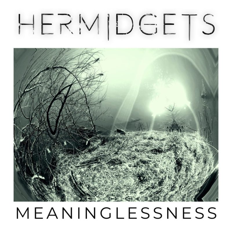 Dark Synthpop Project Hermidgets Debuts Haunting and Surreal Video for “Meaninglessness”