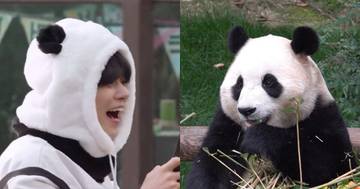 TXT Yeonjun’s Love For Fu Bao The Panda Is Unmatched