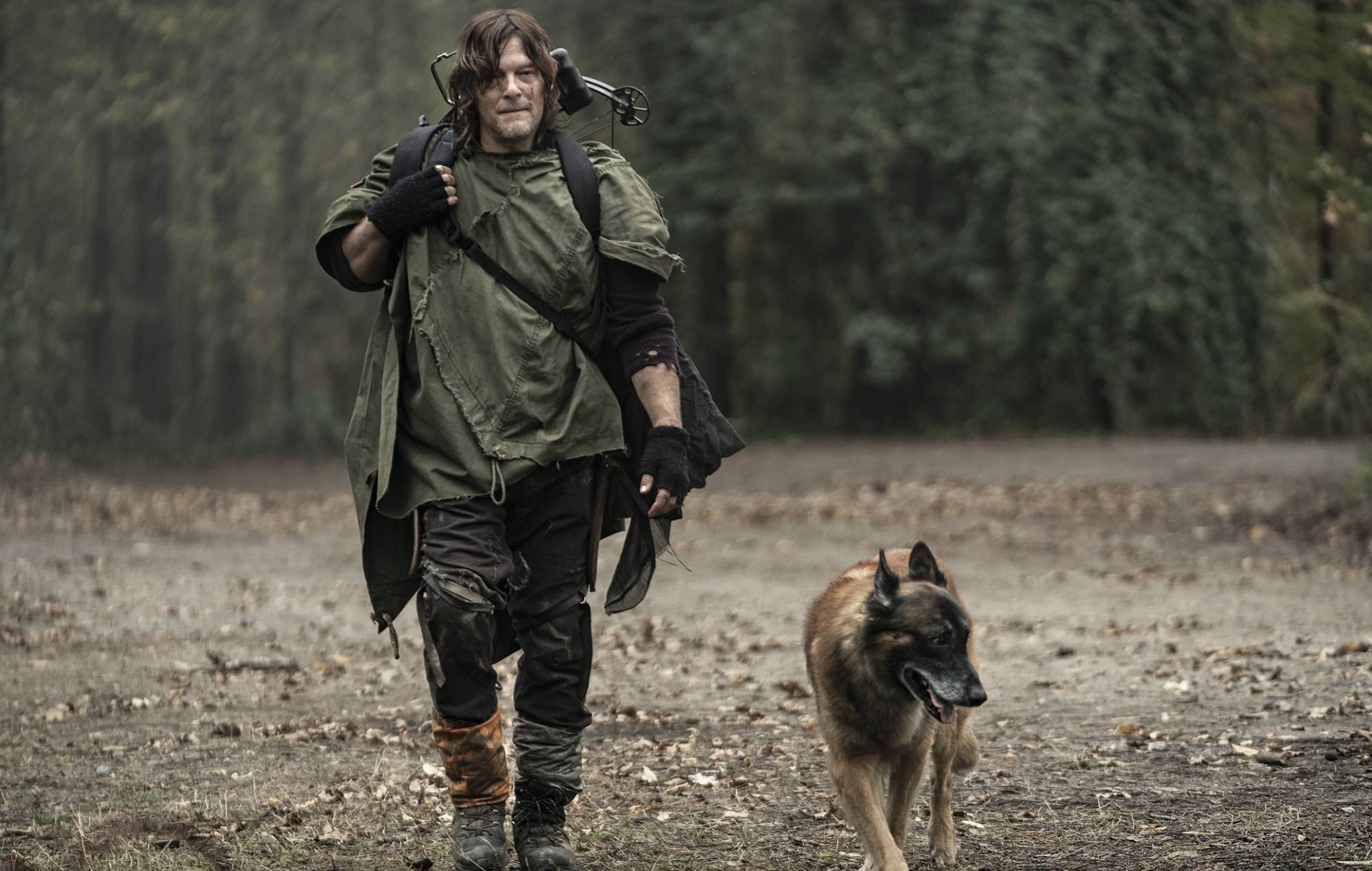 Norman Reedus pays tribute after ‘The Walking Dead’ dog actor dies: “Best TV buddy ever”