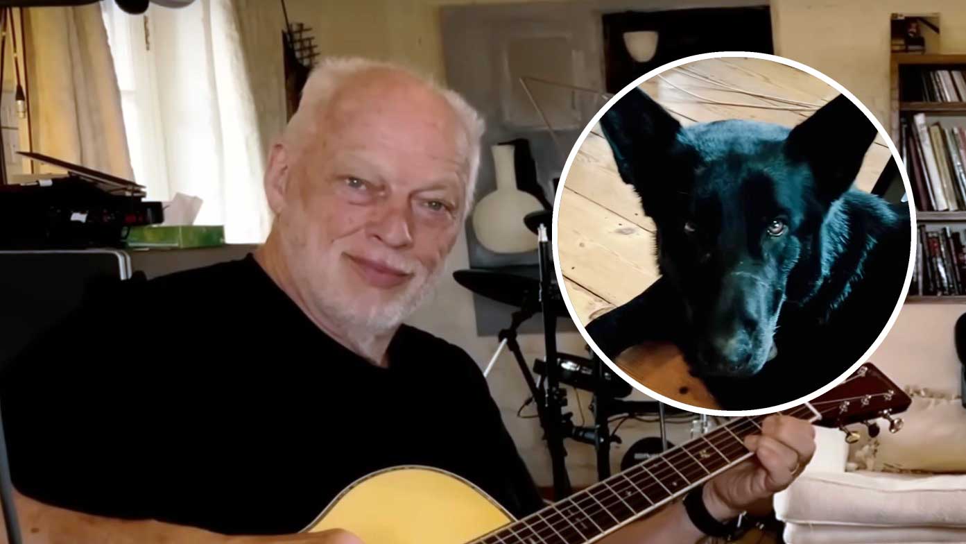 David Gilmour releases chilled rehearsal footage of Wish You Were Here: Even Wesley the dog seems to find it nice and relaxing