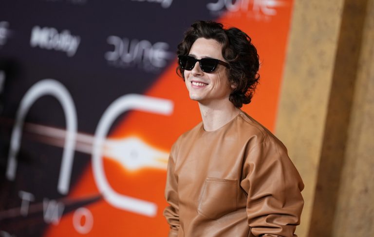 Timothée Chalamet signs up to Josh Safdie’s film about a ping-pong player