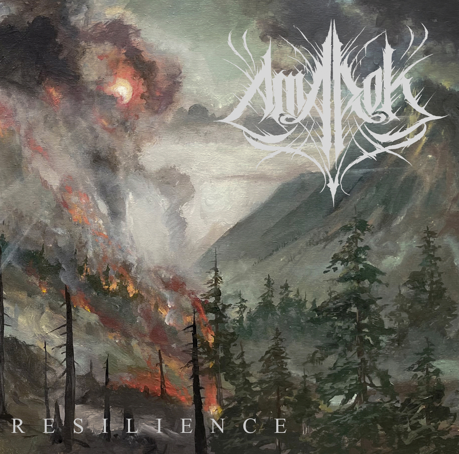 Amarok – Resilience Review