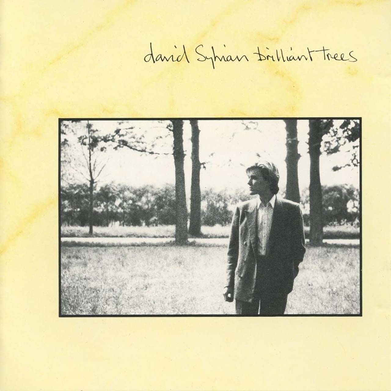 ‘Brilliant Trees’: Revisiting David Sylvian’s Sublime Solo Debut