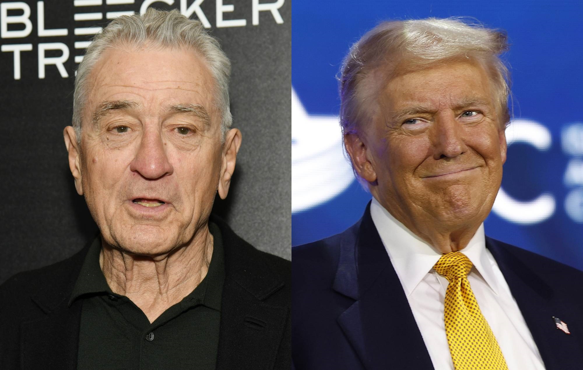 Robert De Niro says Donald Trump “wants to destroy” America