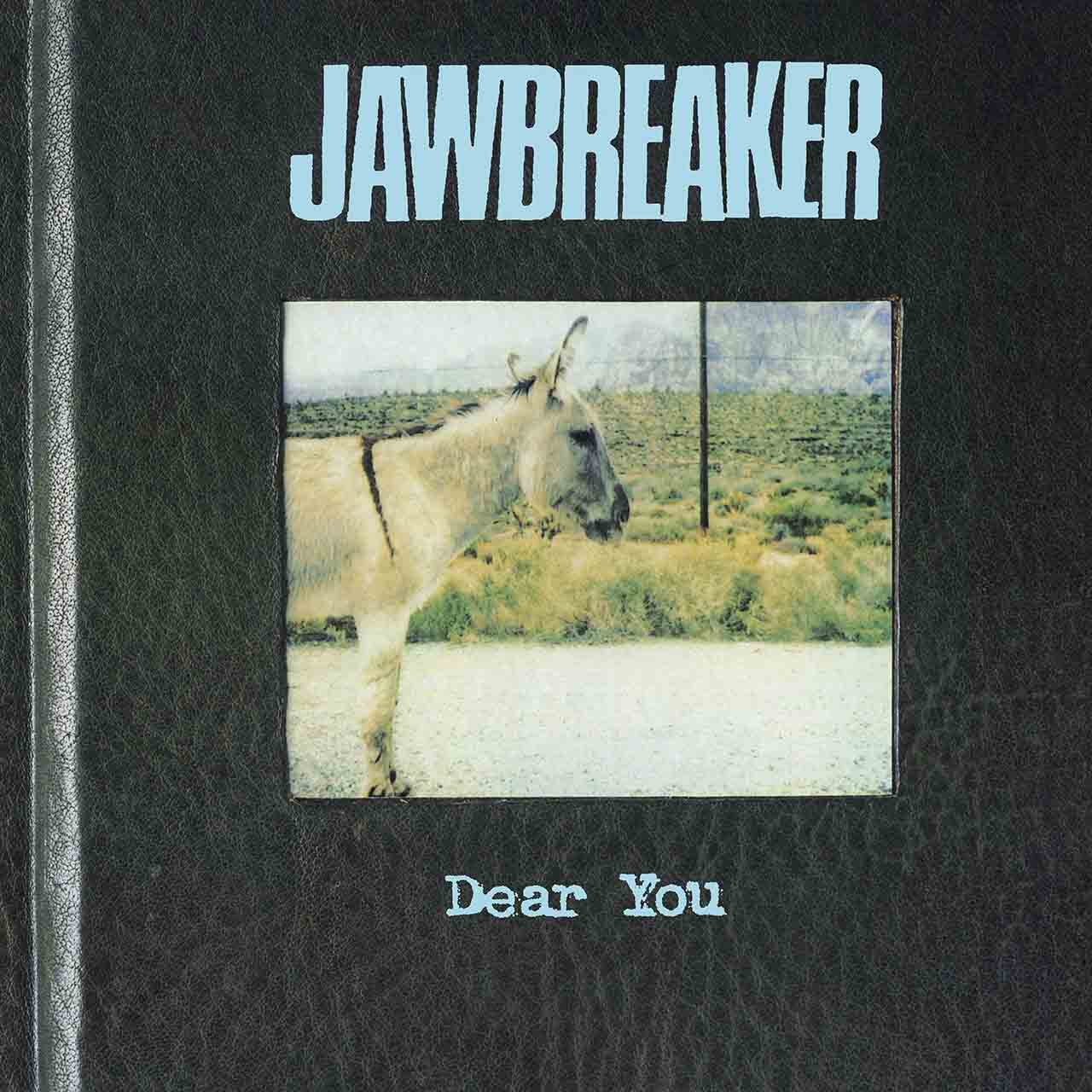 ‘Dear You’: Jawbreaker’s Emo Cult Classic