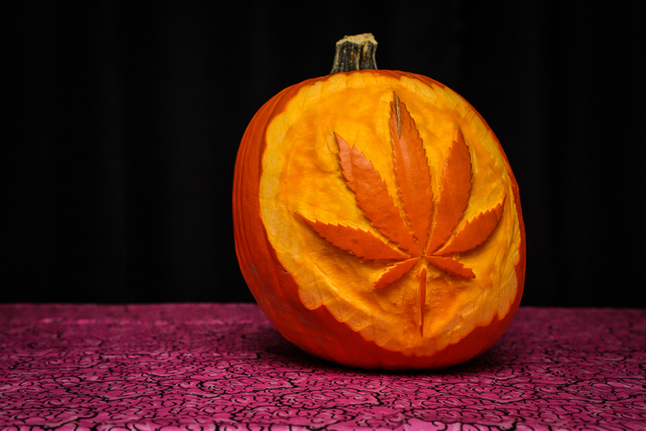 Happy Hallow-Weed: Our 2024 Cannabis Gift Guide Is Here