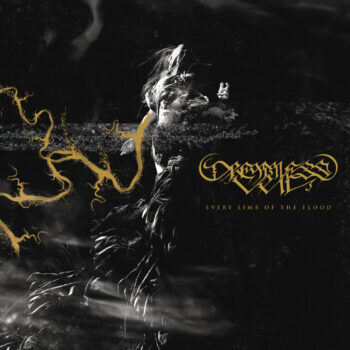 Dreamless Veil – Every Limb of the Flood Review