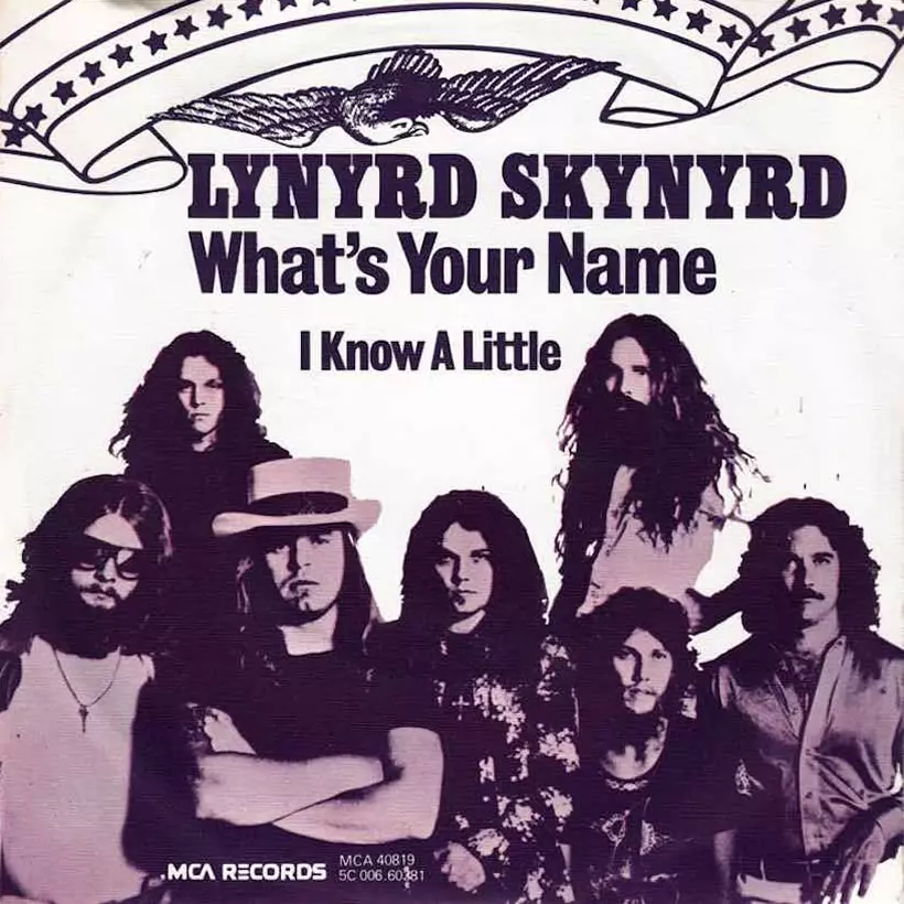 A Southern Rock Tragedy: The Lynyrd Skynyrd Disaster Of 1977