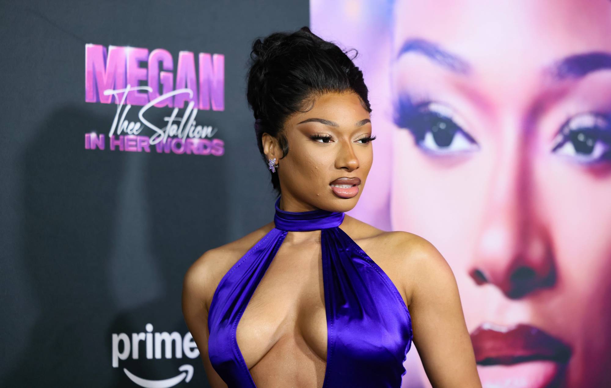 Megan Thee Stallion sues YouTuber over alleged Tory Lanez lies and deepfake porn causing “intentional infliction of emotional distress”