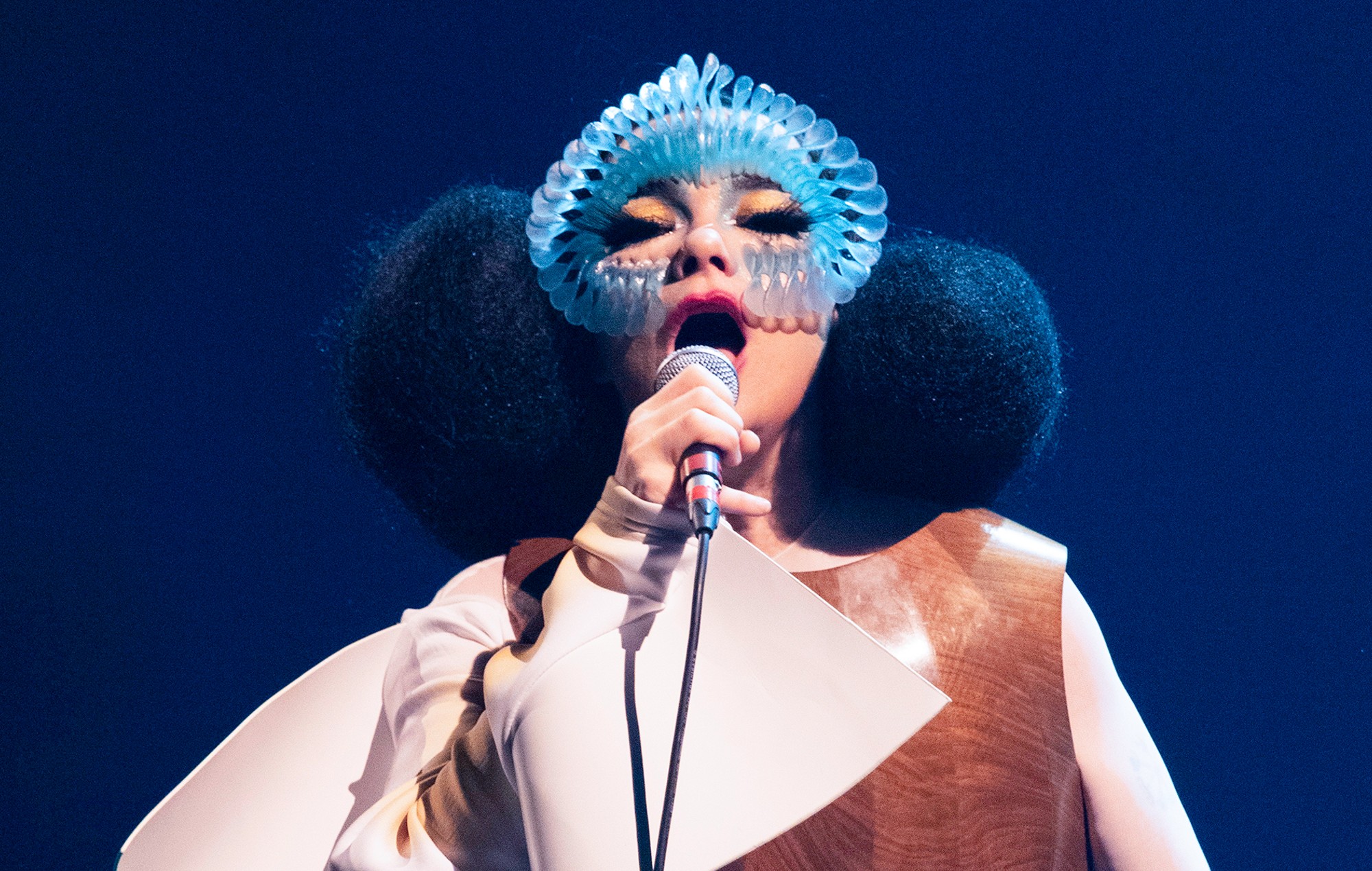 Björk announces new book documenting ‘Cornucopia’ tour