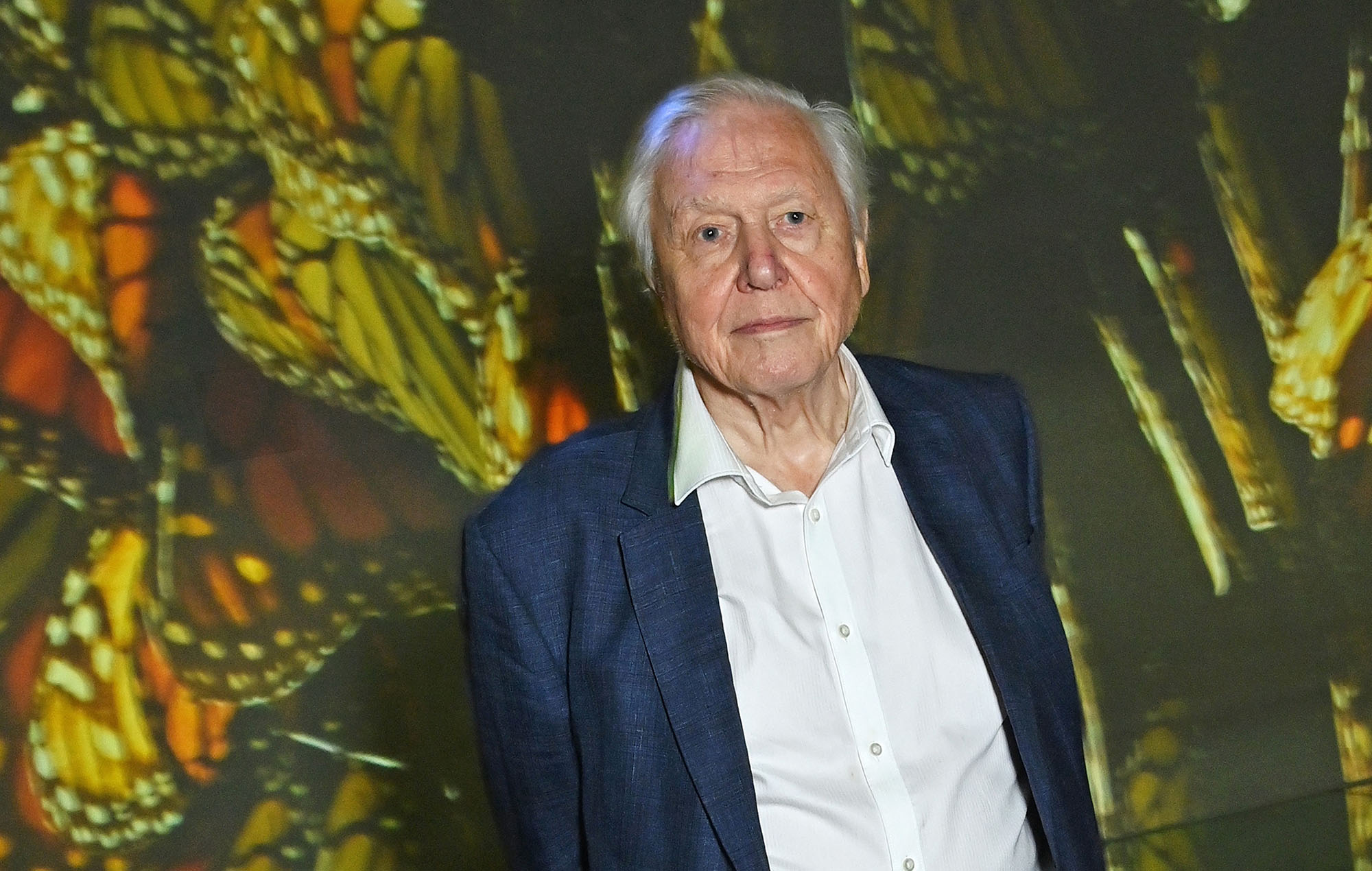 David Attenborough hits out at AI clone of his voice: “I am profoundly disturbed”