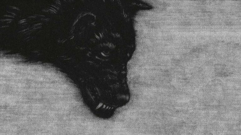 “A terrific primer for anyone unfamiliar with their crepuscular catalogue”: Crippled Black Phoenix revisit the past on The Wolf Changes Its Fur But Not Its Nature