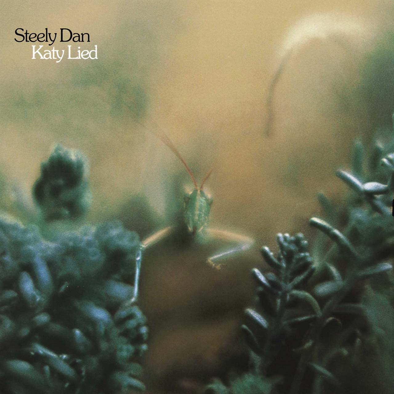 Steely Dan’s ‘Katy Lied’ Getting Long-Awaited Vinyl Reissue