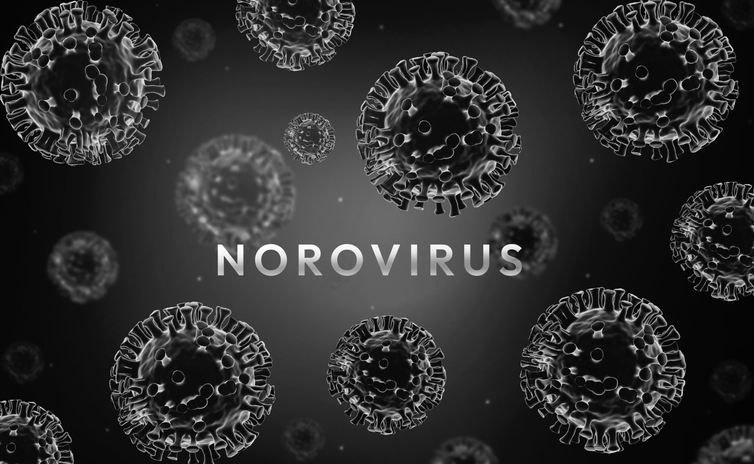 Norovirus: What It Is, And How To Avoid It During The Winter Surge