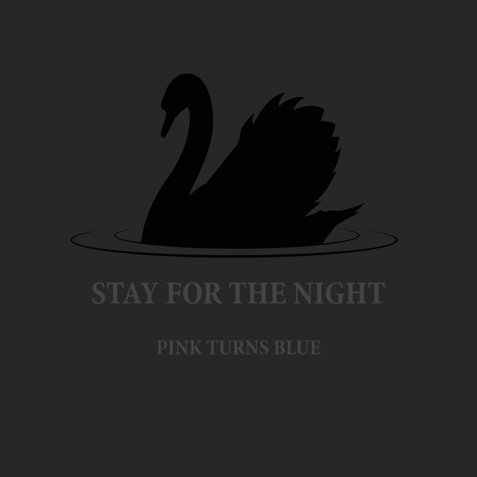 German Post-Punk Heroes Pink Turns Blue Share Ode to the Underground Community, “Stay for the Night”