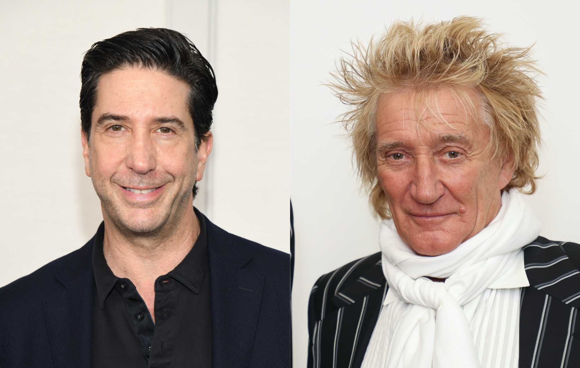 David Schwimmer reveals he served Rod Stewart divorce papers