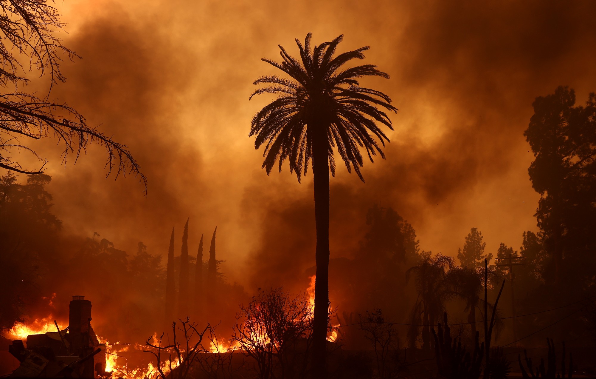 Benefit concert for victims of Los Angeles wildfires announced