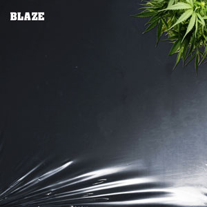 Igniting the Scene: Take The W Unleashes “Blaze,” a Sonic Odyssey of Energy and Emotion