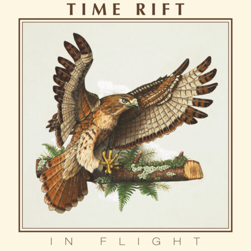 Time Rift – In Flight Review