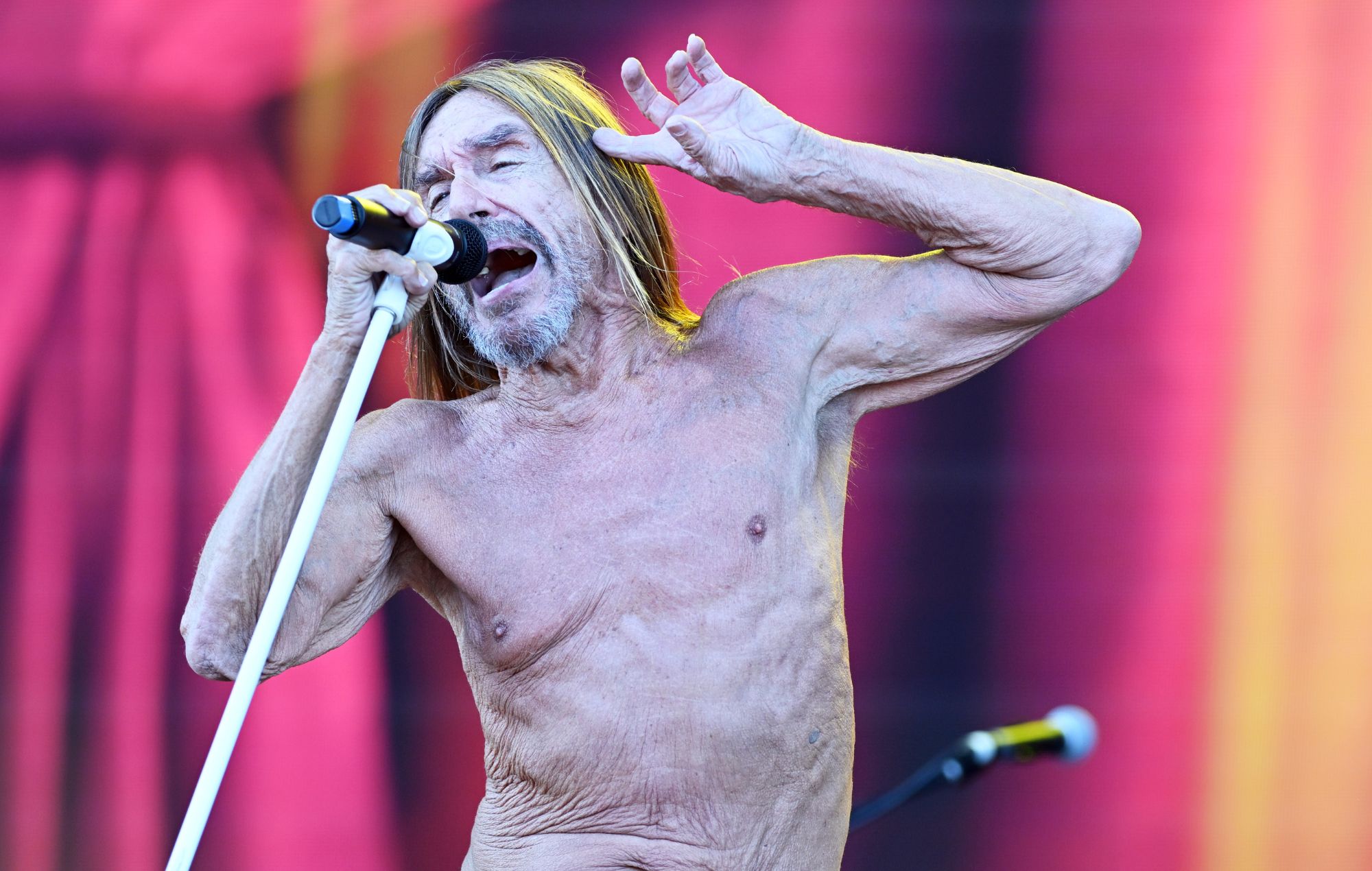 Watch Iggy Pop’s explosive performance of ‘Modern Day Ripoff’ from Montreux Jazz Festival