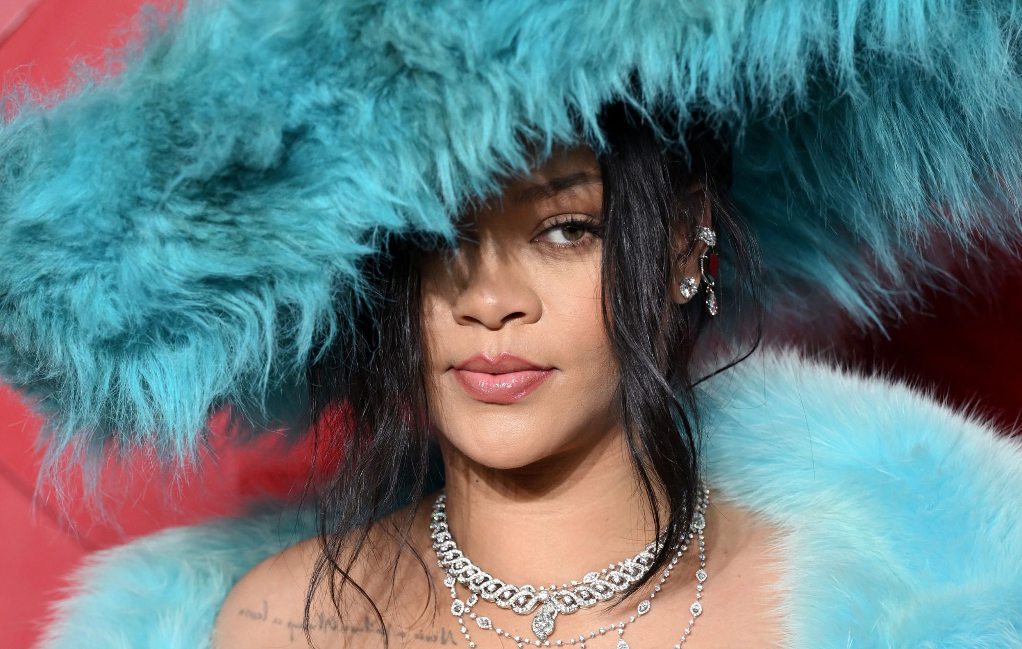 Rihanna hits back at troll who called her “forehead” and demanded a new album in 2025 