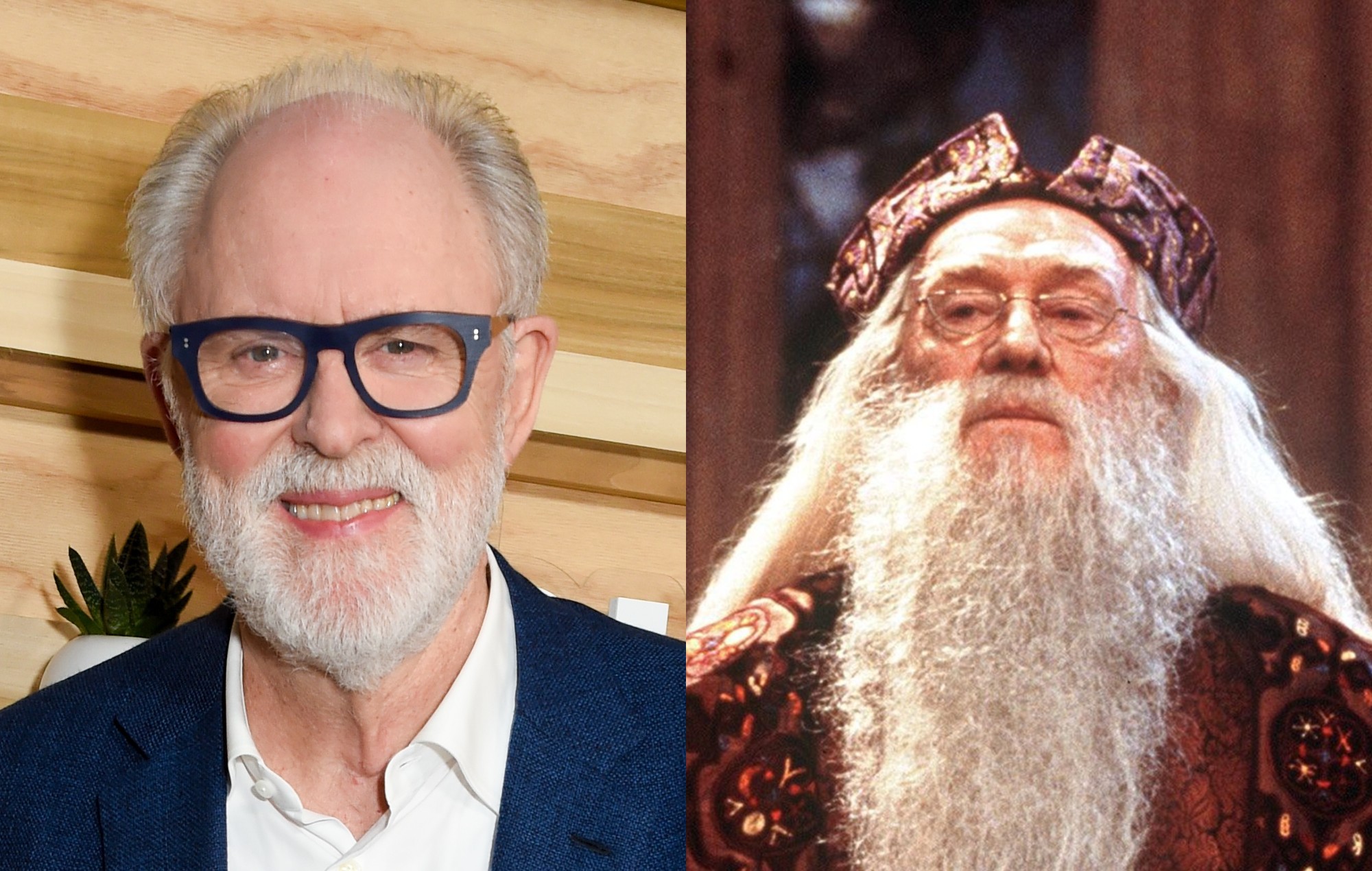 ‘Harry Potter’ fans give harsh response to John Lithgow as Dumbledore: “I would just see Farquaad”