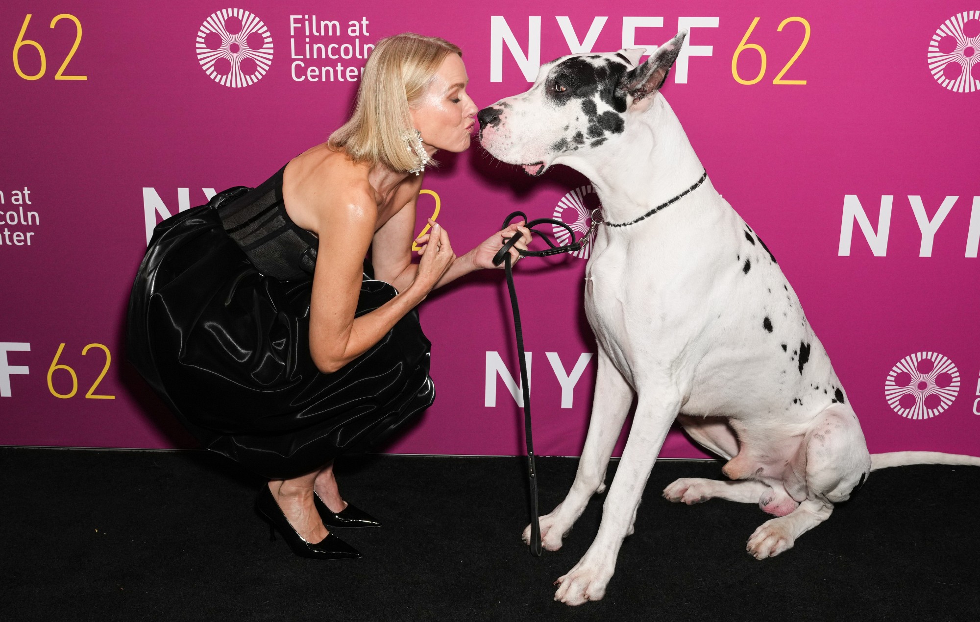 Bill Murray and Naomi Watts’ new indie drama is getting incredible reviews: “anyone who ever loved a pet must see”