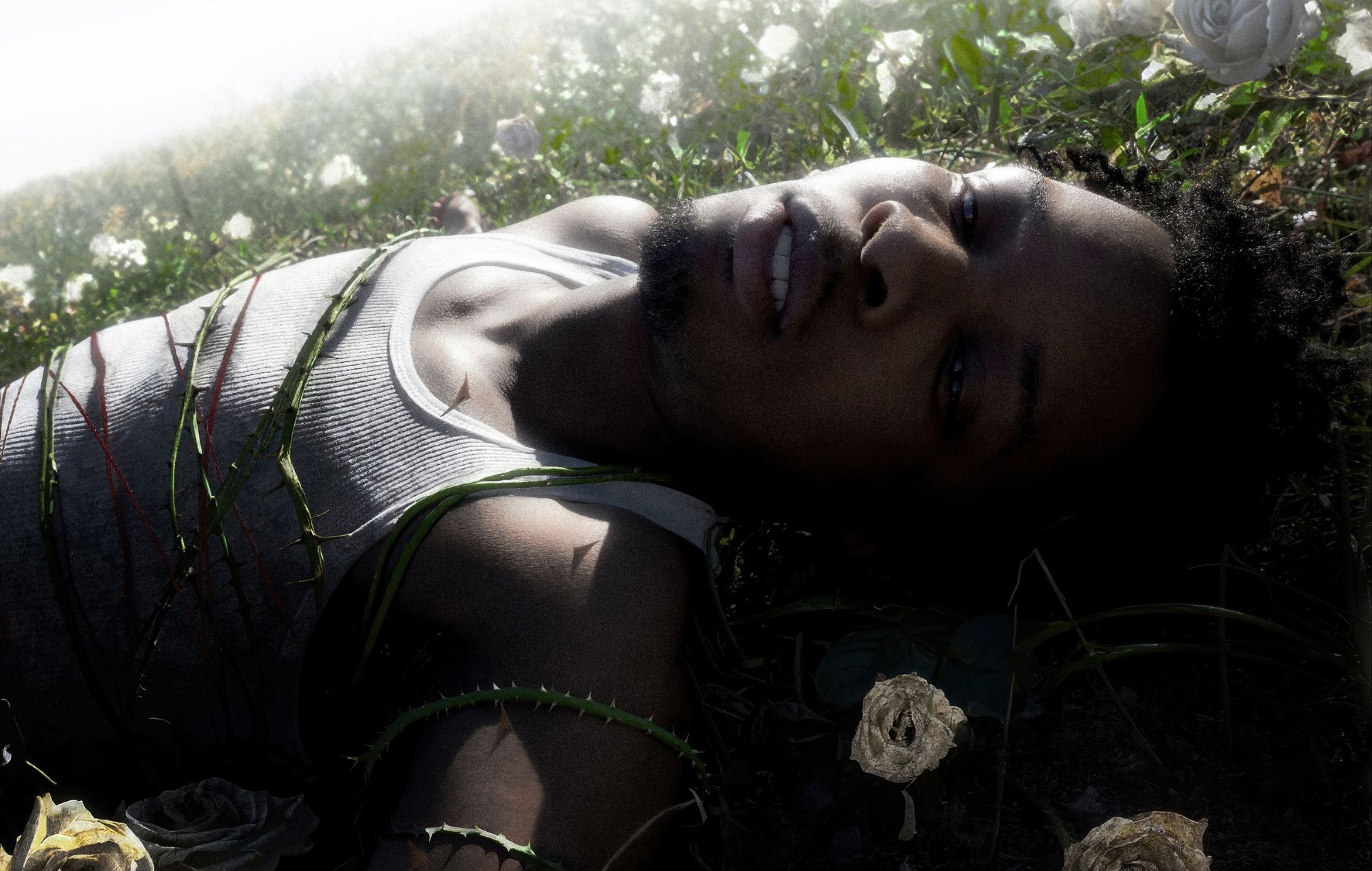 D4VD announces new album ‘Withered’ – check out the trailer 