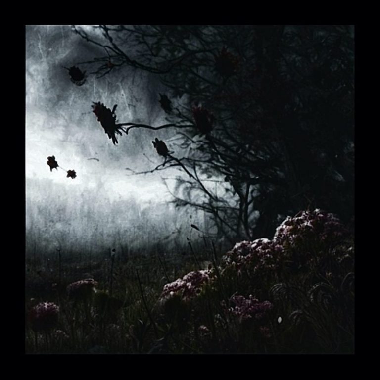 Kiss Me in the Dark — Philadelphia’s Forest Circles Debuts Romantic New Dreampop Single “Embers”