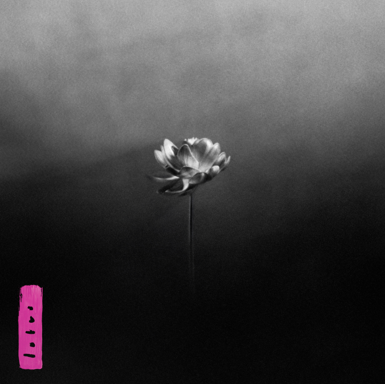 Little Simz’s Tense ‘Flood’ Is The First Single From Her New Album, ‘Lotus’